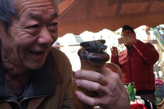 Private Hutong Culture Tour with Dumpling Cooking Class plus Cricket Fighting Game - Confucius Temple and the quiet Guozijian setting