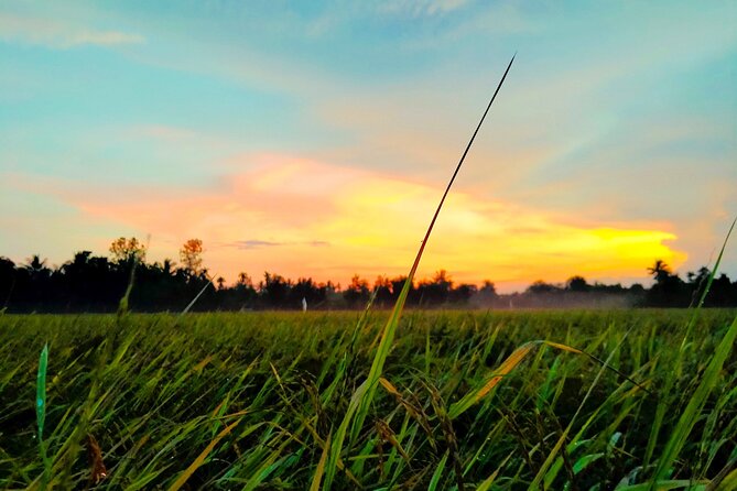 PRIVATE Mekong Delta 1 Day with Kayaking, Biking & Cooking - Honey tea, Southern music, and a coconut candy workshop
