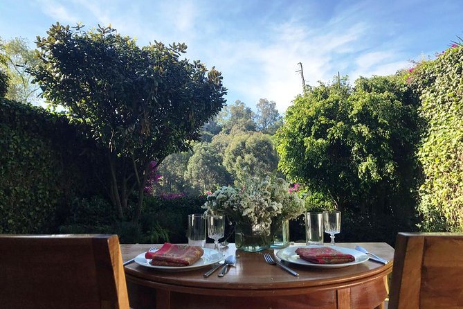 Private Mexican Cooking Class with Gastronomic Historian, Lucia - Dietary requests and menu planning