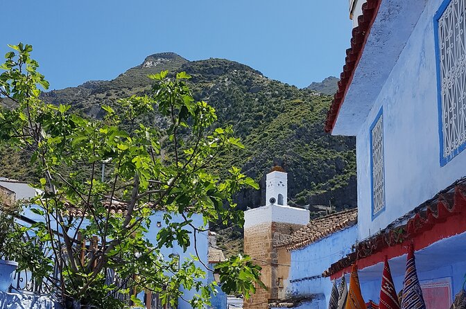 Private Tagine Cooking Class in Chefchaouen with Lunch - A private class for couples and small groups