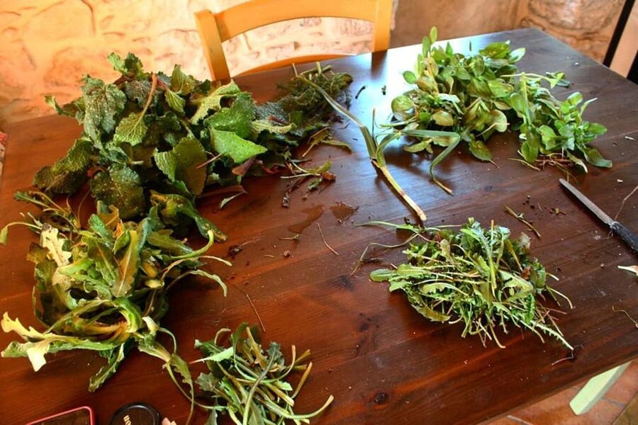 Ragusa Countryside Home Cooking Class & Meal - Cooking Sicilian food from family recipes