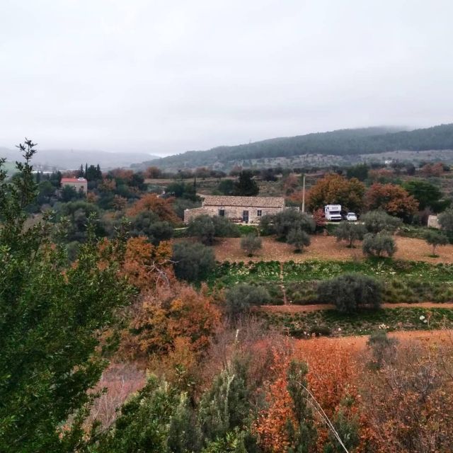 Ragusa Countryside Home Cooking Class & Meal - Local wine and a meal worth the price