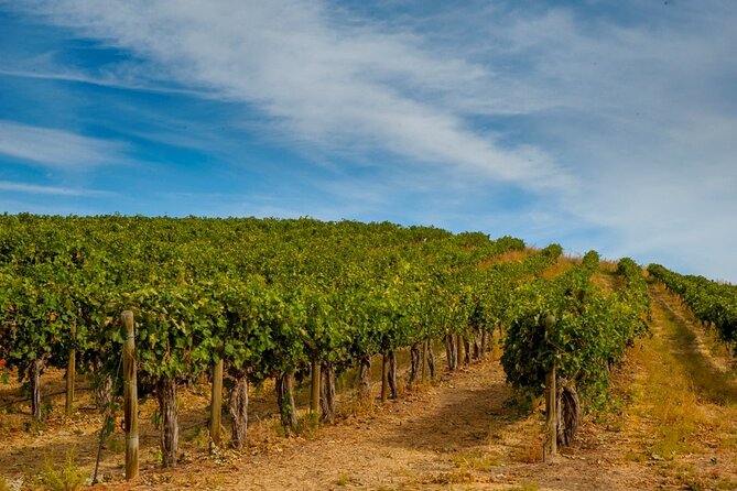 Rhodes Wine & Food Tour: 10 Meal Course Lunch, Wine Tasting, Cooking Class - Who should book this experience?