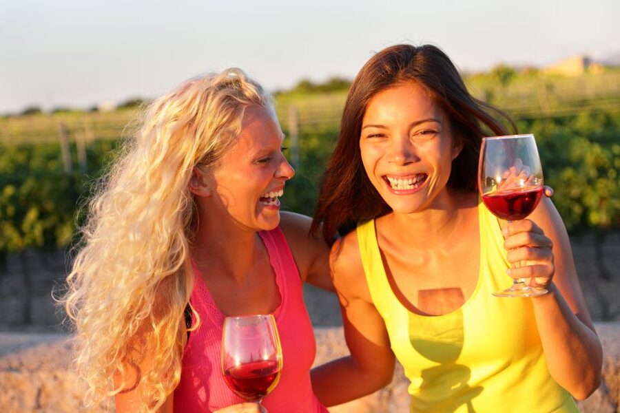 Rhodes: Winery Tour, Tasting and cooking with the Winemaker - Key points at a glance