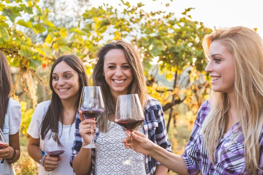 Rhodes: Winery Tour, Tasting and cooking with the Winemaker - Tsipouro and the local distilling tradition