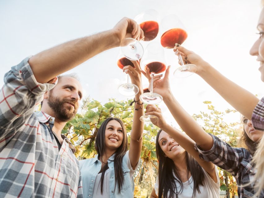 Rhodes: Winery Tour, Tasting and cooking with the Winemaker - Who should book this experience?