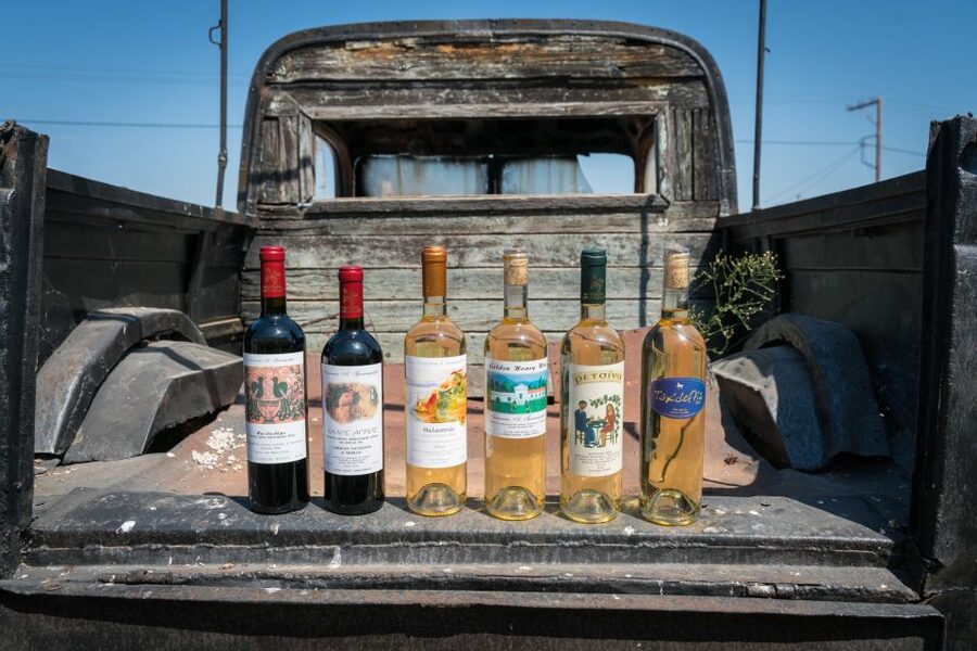 Rhodes: Winery Tour, Tasting and cooking with the Winemaker - Walking the vines and learning the local grapes