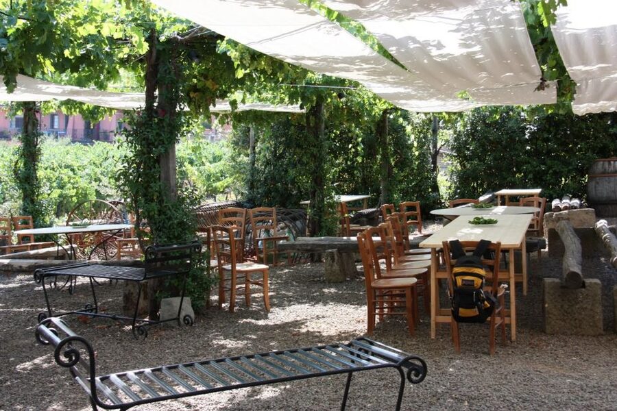 Rome: Private Wine Tour and Pasta Making Class in a Winery - What Comes to the Table at Lunch