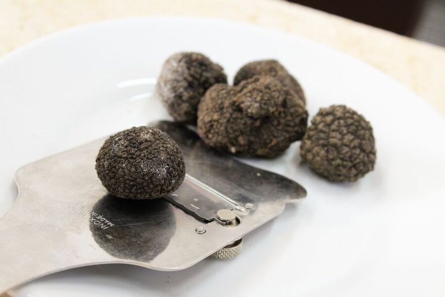 San Gimignano: Truffle Cooking Class with Wine Tasting - Key points to know before booking