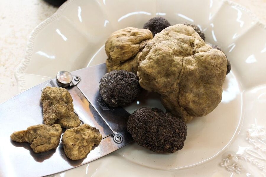 San Gimignano: Truffle Cooking Class with Wine Tasting - Who will enjoy this experience most?