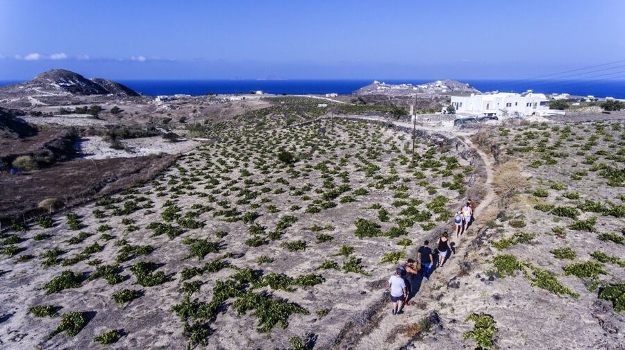 Santorini: Cooking Class and Easy Hike - My recommendation