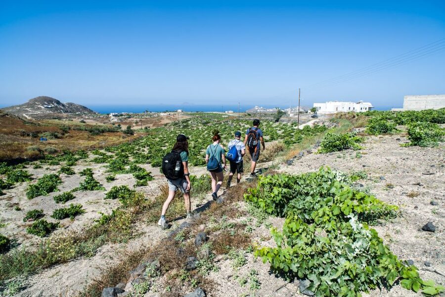 Santorini: Cooking Class and Easy Hike - Is the $182 price good value?