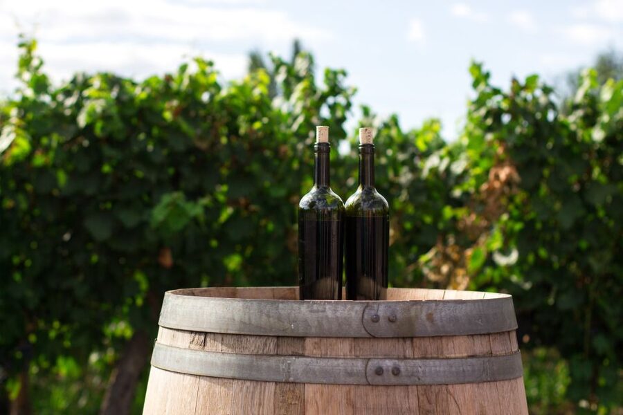Santorini: Greek Cooking Class with Wine Tasting - Key points to know before booking
