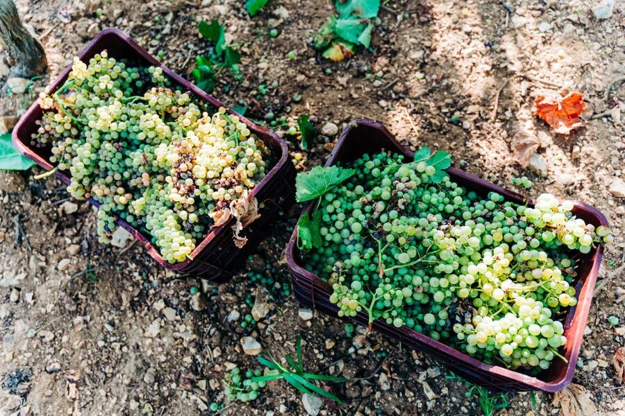 Santorini: Greek Cooking Class with Wine Tasting - What the four dishes tell you about the island