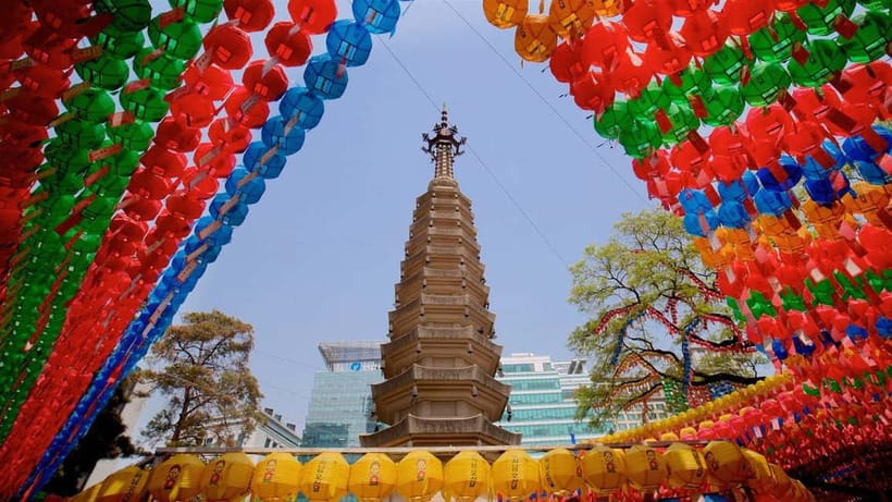 Seoul: Temple Vegan Cooking Class & Oriental Medicine Tour - Who will get the most from this Seoul outing