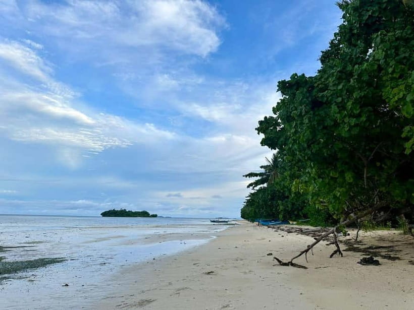 Siargao Island Vegetarian Cooking Class - What you cook during the four-hour class