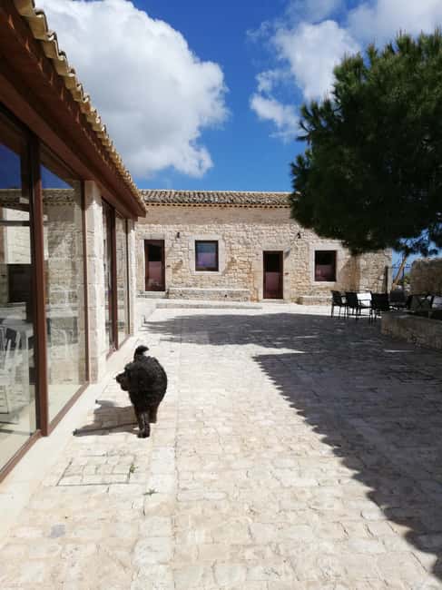 Sicily: Traditional Cooking Class with Dinner - Is the $82 Price Good Value?