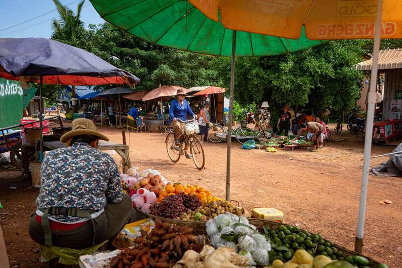 Siem Reap: Afternoon Cooking Class & Village Tour - Key points to know before booking