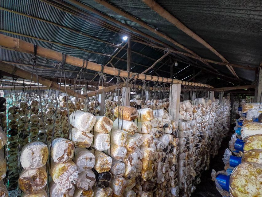 Siem Reap: Afternoon Cooking Class & Village Tour - Taking Khmer recipes home