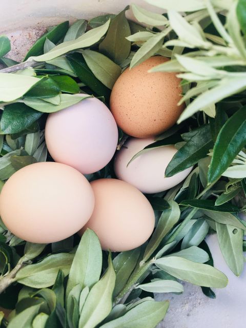 Siena countryside: cooking class in a real Tuscan farmhouse - From farm ingredients to family recipes