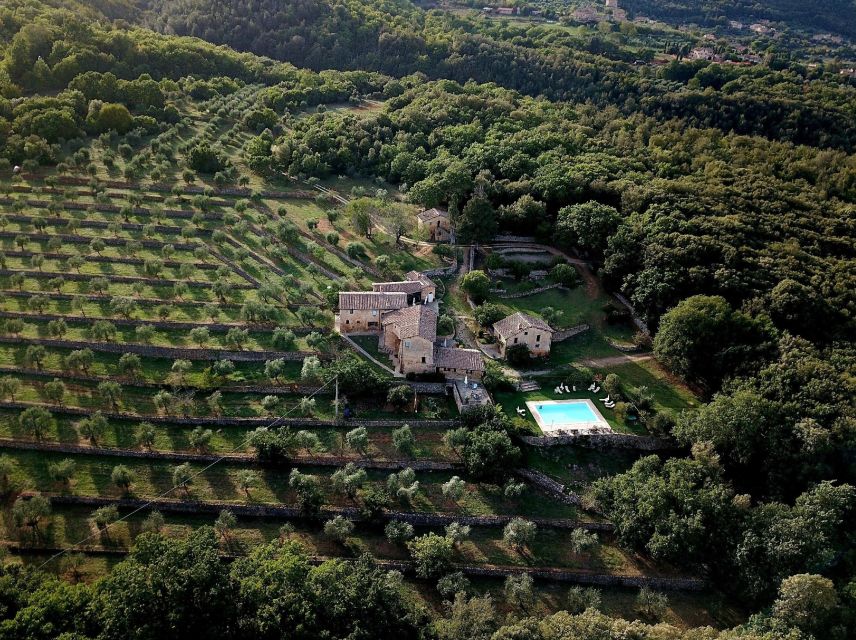 Siena countryside: cooking class in a real Tuscan farmhouse - Sitting down to the three-course meal