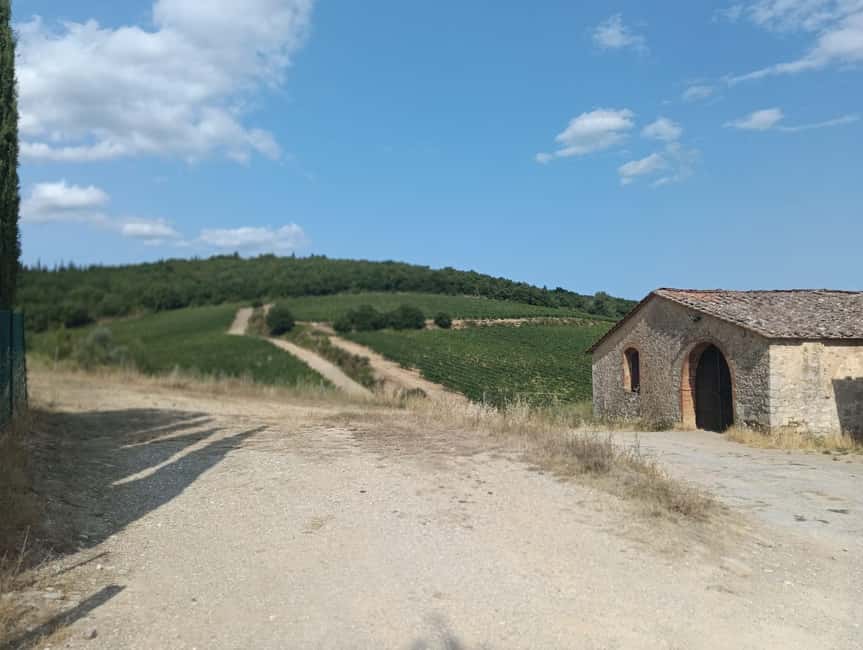 Siena: Small-group Cooking Class in a Chianti Farm - Key points to know before booking