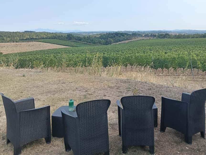 Siena: Small-group Cooking Class in a Chianti Farm - Lunch with wine and Chianti views