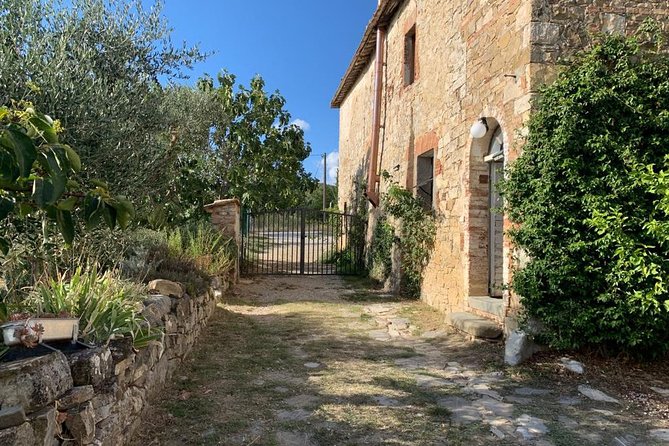 Siena: Small group Cooking Class in Chianti Farmhouse - Is $139.13 a fair price?