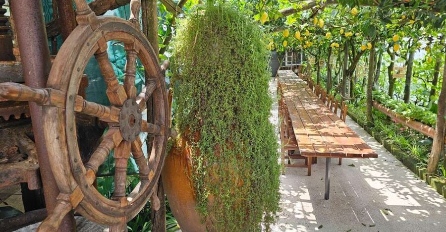 Sorrento Coast: E-Bike & Cooking Experience - Why this Sorrento e-bike tour works so well