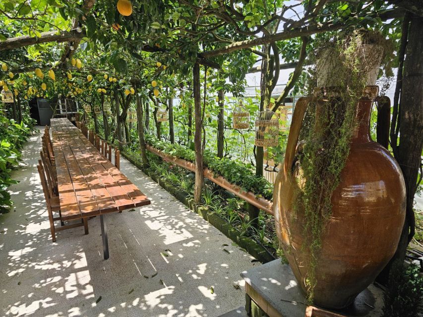 Sorrento Coast: E-Bike & Cooking Experience - Riding the 25-kilometer route to Massa Lubrense