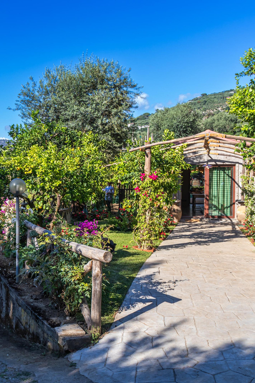 Sorrento Cooking Class: Taste the Tradition feel the Love - A Sorrento cooking class with a real sense of place