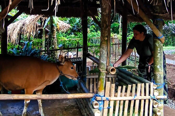 Spice Garden, Jamu & Cooking Class in Bali Village - Cooking in Paon Bali Over an Open Fire