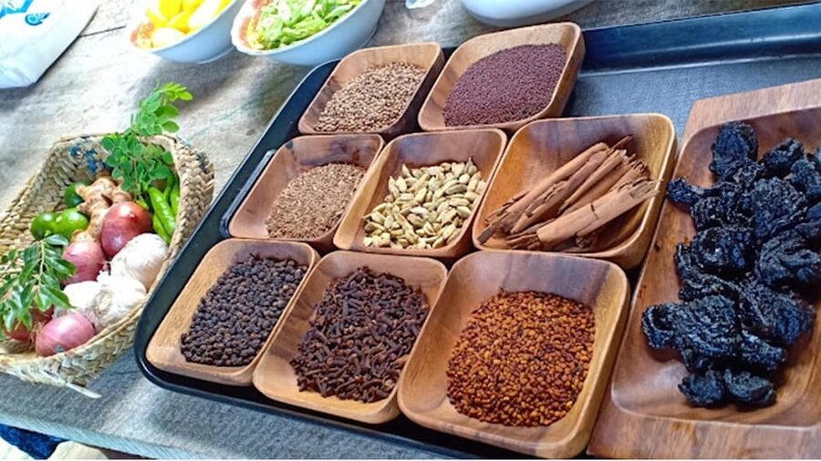 Sri Lankan Cooking Class in Bentota - Practical planning for your visit