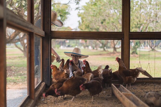 Sunset Thai Cooking with Grandma - Farm & Evening Feast - Cooking at your own station in an open-air kitchen