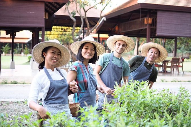 Sunset Thai Cooking with Grandma - Farm & Evening Feast - Walking through rice fields, gardens, and the mushroom hut