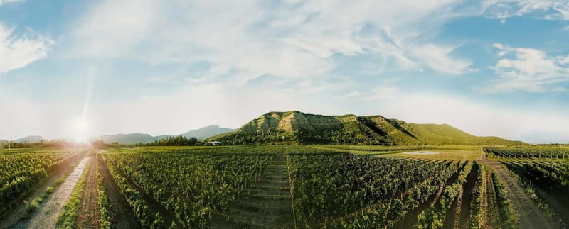 Tbilisi: Kakheti Horse Riding, Wine Tasting, and Cooking … - Who should book this experience