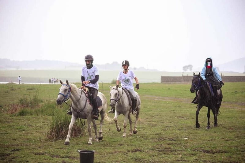 Tbilisi: Kakheti Horse Riding, Wine Tasting, and Cooking … - From Tbilisi to the hills near Qedeli