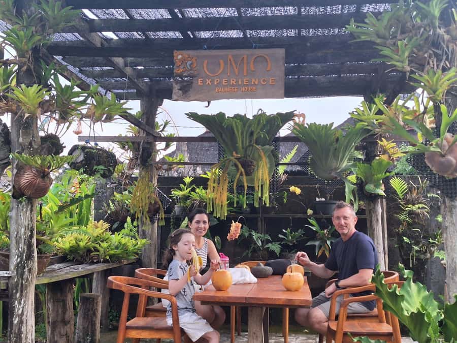 The Authentic Balinese Cooking Experience - Walking through gardens and local daily life