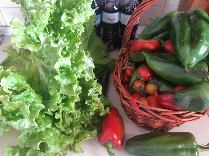 Thessaloniki:Greek Cooking Class and Meal at a Farm A - Booking details worth knowing