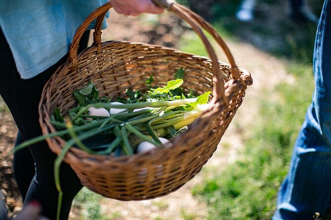 Traditional Cooking Class in Dubrovnik Countryside - The four-course meal is the main event