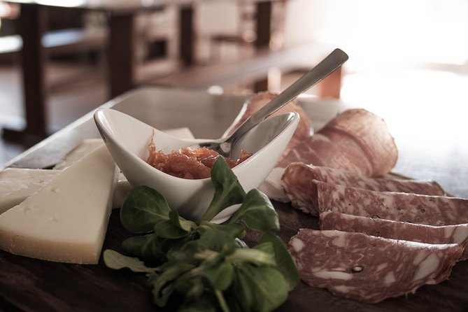 Truffle Hunting and Cooking Class - A woodland hunt just outside San Gimignano