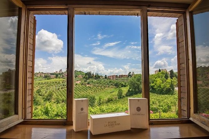 Truffle Hunting and Cooking Class - From the woods to the Podere La Marronaia estate