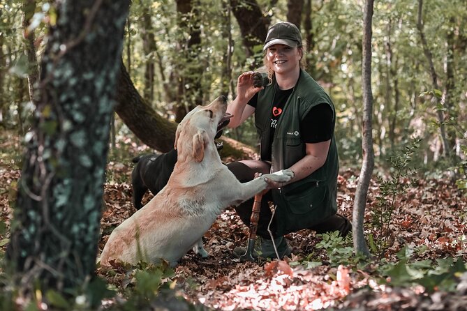 Truffle hunting & cooking tour - Starting at the Karlić truffle museum