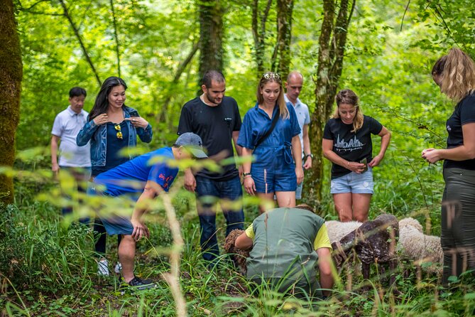 Truffle hunting & cooking tour - The three-course meal back at the family property