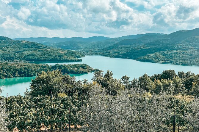 Truffle hunting & cooking tour - Finding the meeting point near Buzet