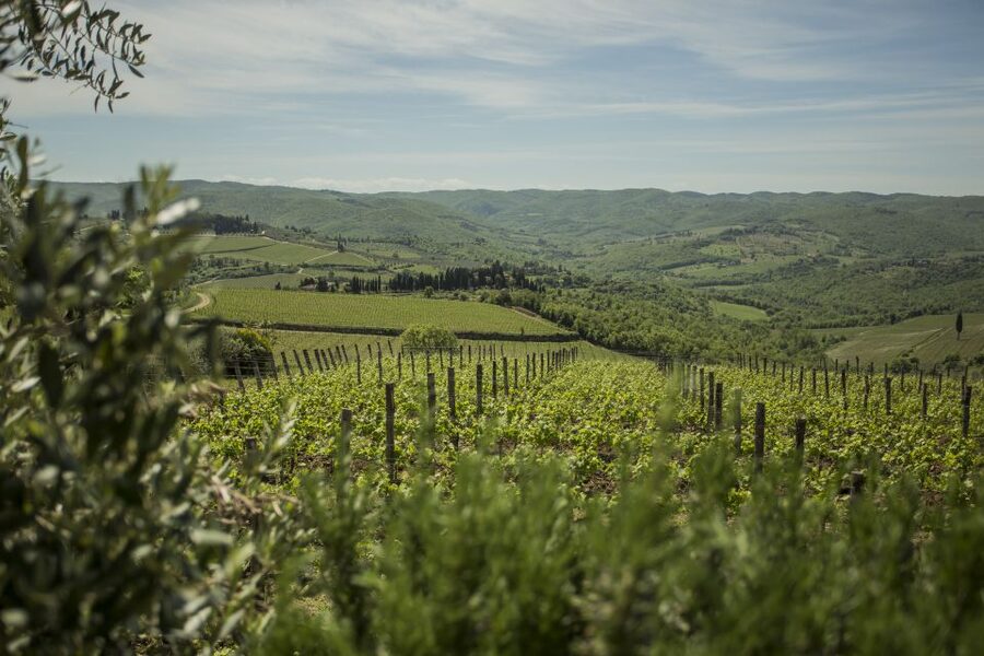 Tuscan Cooking Experience with Wine Tasting in Panzano in C. - The 3.5-hour schedule and nearby towns