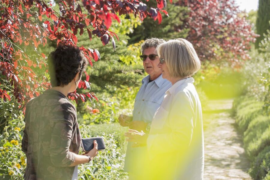 Tuscan Cooking Experience with Wine Tasting in Panzano in C. - Is $215.24 a fair price?