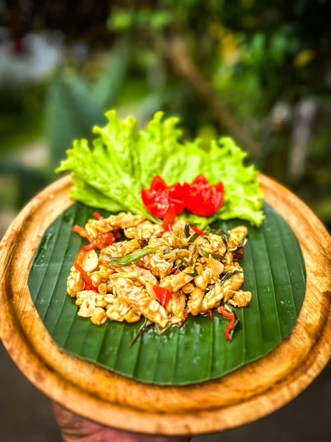 Ubud: Authentic Traditional Balinese Village Cooking Class - A glimpse of family life and Balinese offerings
