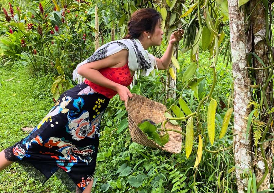 Ubud: Balinese Cooking Class at an Organic Farm - Key points at a glance