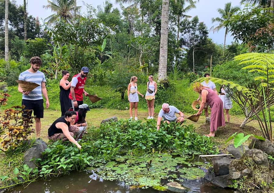 Ubud: Balinese Cooking Class at an Organic Farm - Who should book this Ubud cooking class?